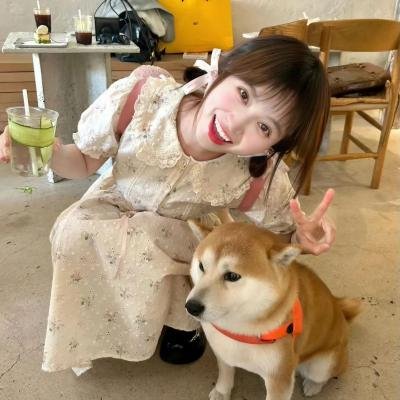 蜻蜓