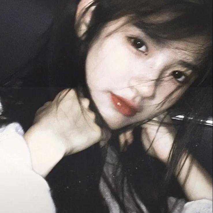 鹤遗失的语言